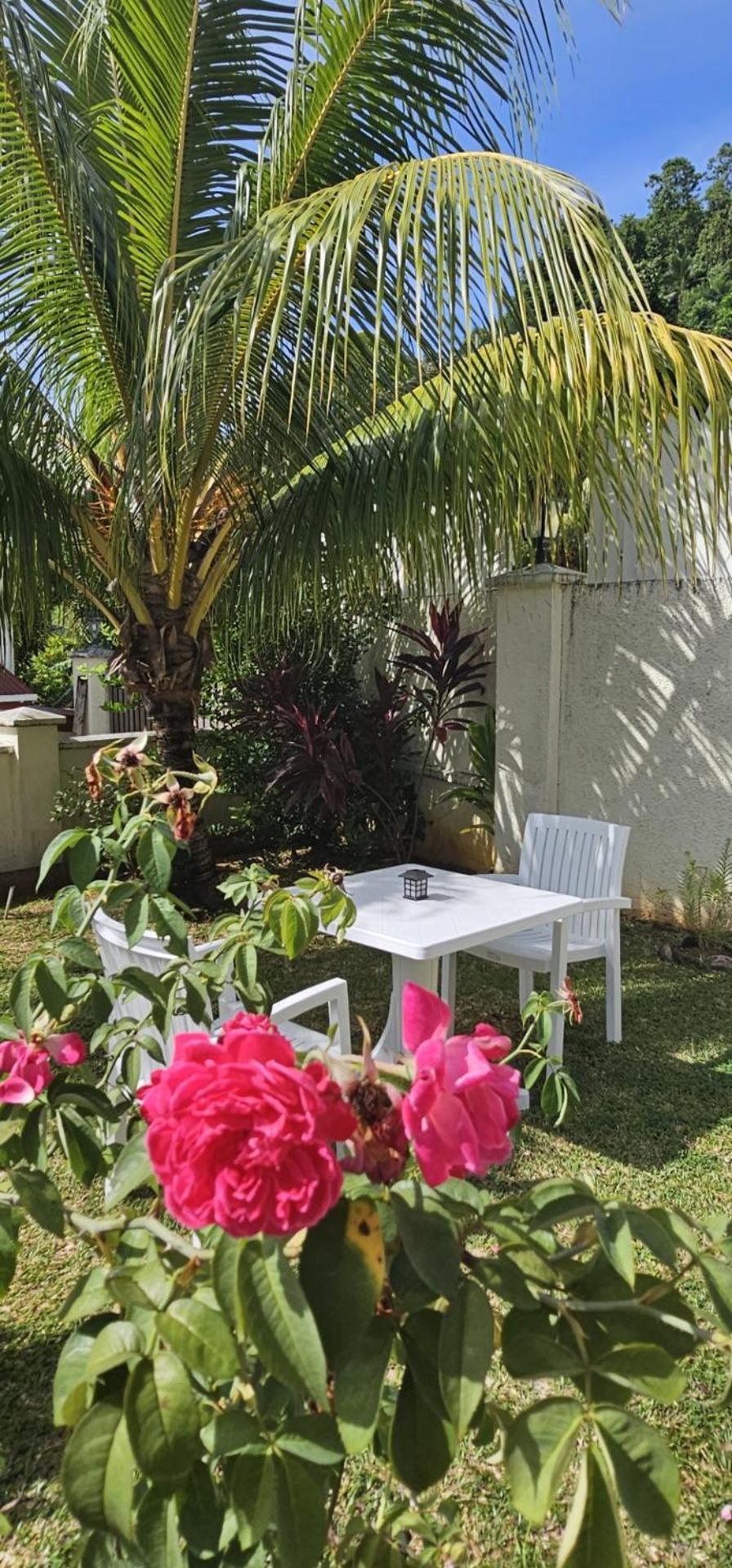Emma'S Guest House And Self-Catering Au Cap Exterior foto