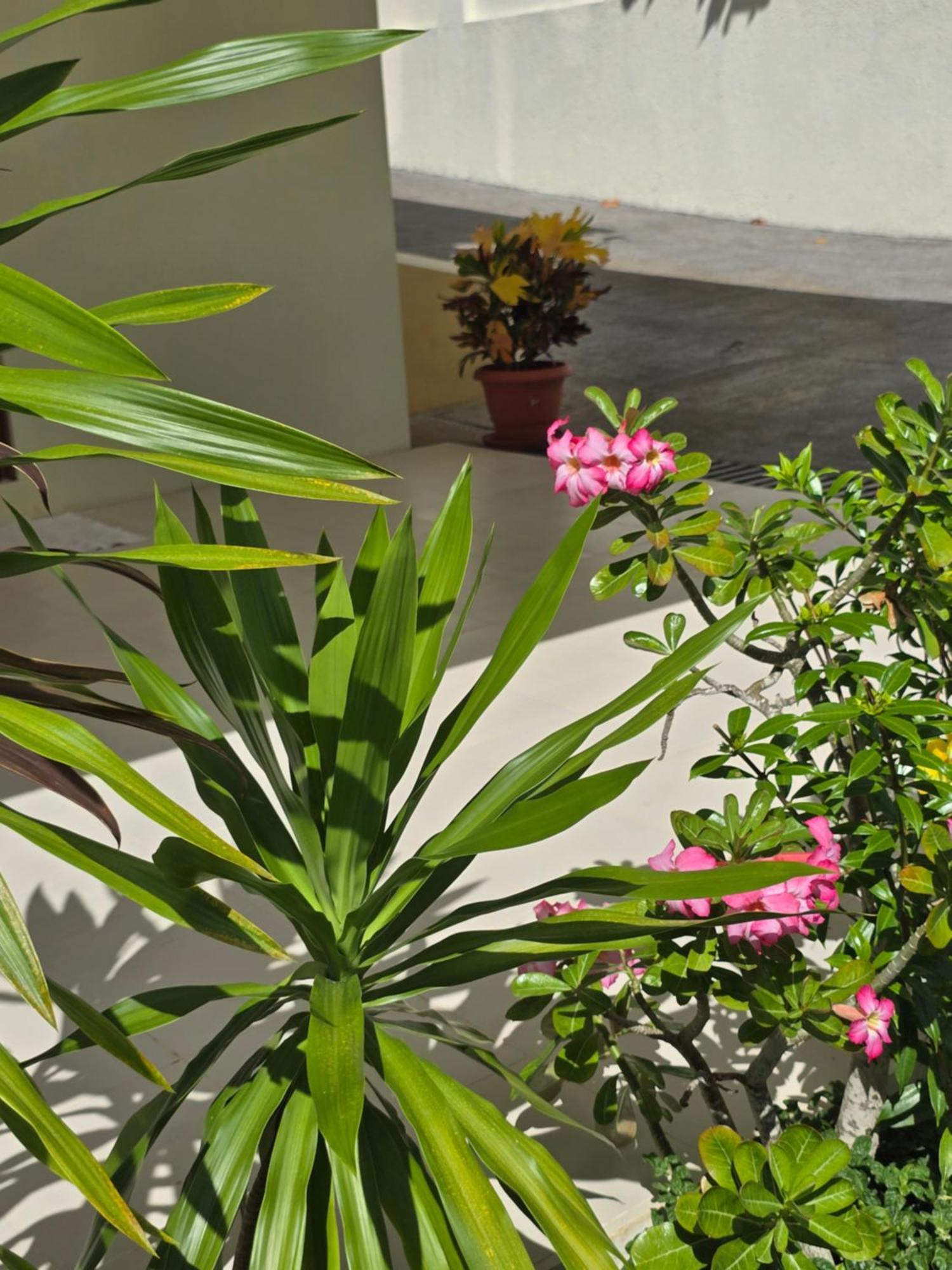 Emma'S Guest House And Self-Catering Au Cap Exterior foto